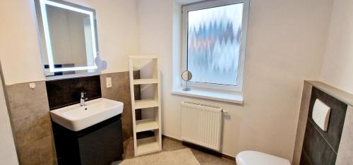 a bathroom with a sink and a toilet and a window at Ferienhaus Strandallee 10 in Burhave