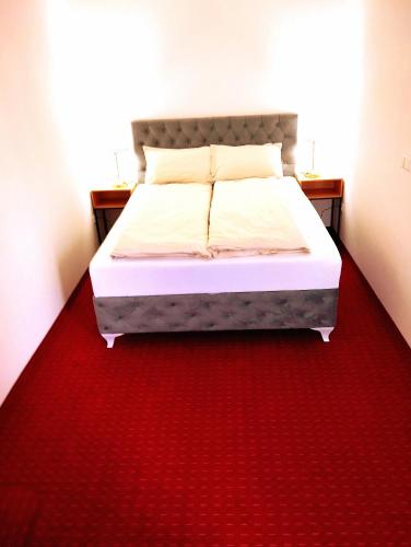 a bed in a room with a red carpet at Kuća za odmor Aqua Vet Velika Kladuša in Velika Kladuša