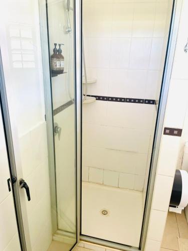 una doccia con una porta in vetro in un bagno di The Ideal Bed & Breakfast a Nadi