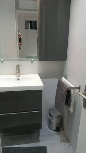 une salle de bain avec un lavabo, des toilettes et un miroir dans l'établissement The Pearl of Marais, à Paris