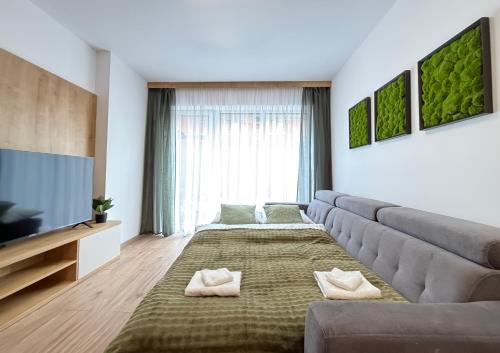 a living room with a couch and a television at Lúka Palúdzka in Liptovský Mikuláš