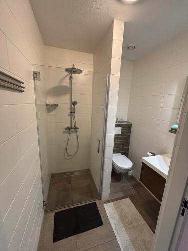 a bathroom with a shower with a toilet and a sink at Gerbrandion Appartement Verhuur in Vlissingen