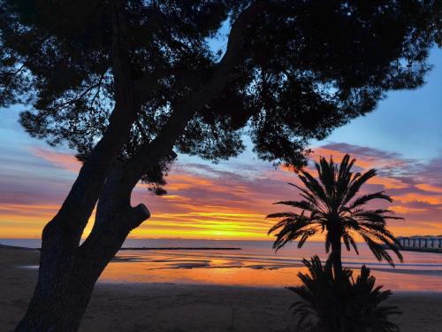 Amanece junto al mar