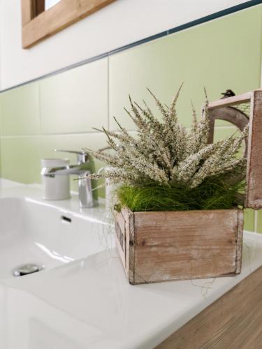 a bathroom sink with a wooden box with a plant in it at B&B Chiara in Limena