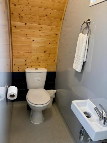 a bathroom with a toilet and a sink at The Midi Pod in Aberystwyth