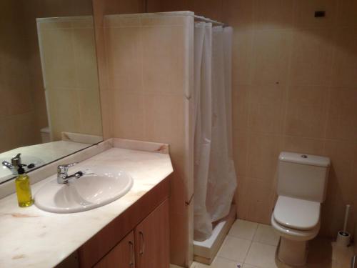 a bathroom with a sink and a toilet and a shower at Mi Apartamento en el Delta del Ebro in Deltebre