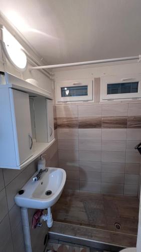 a bathroom with a sink and a shower at Baba néni nyaralója in Szarvas