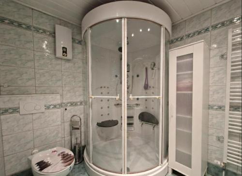 a glass shower in a bathroom with a toilet at Ferienwohnung Saller in Weißenbrunn