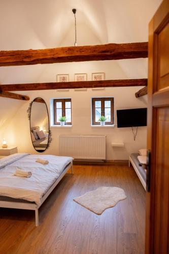 a bedroom with a large bed and a mirror at V Údolí in Jablonné v Podještědí