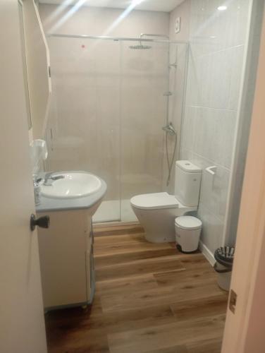 a bathroom with a toilet and a sink and a shower at Puentecuervo 3 in Pancorbo