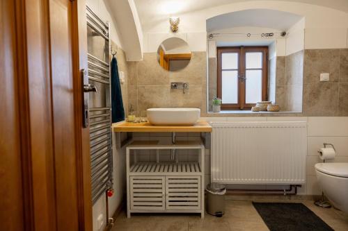 a bathroom with a sink and a mirror at V Údolí in Jablonné v Podještědí