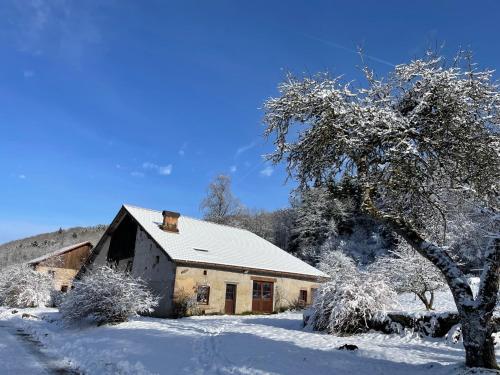 una casa cubierta de nieve con un árbol en La Hutte, en Tendon