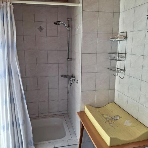 a bathroom with a shower with a tub and a sink at Pferdehof Oberegg in Werfenweng