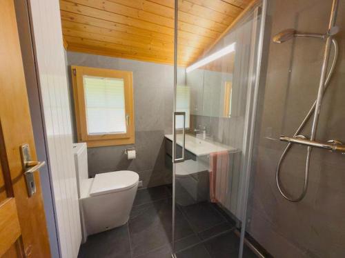 a bathroom with a toilet and a sink and a shower at Chalet Marguerite in Flums
