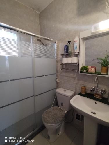 ein Badezimmer mit Toilette und Waschbecken in der Unterkunft Seleucia DaR Umm Qais in Um Qeis