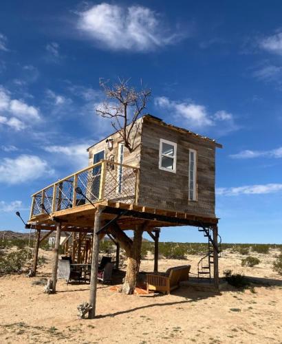 a house on a tree stump in the desert at Treehouse in Joshua Tree