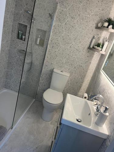 a bathroom with a toilet and a sink and a shower at Garden Lodge, boutique - Walton on Thames in Walton-on-Thames