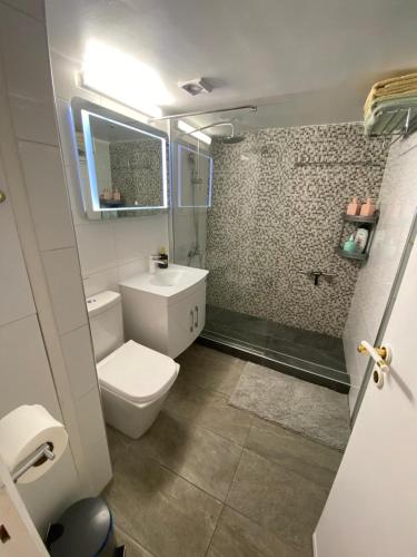 a bathroom with a white toilet and a shower at PJ's Apartment, Paphos, Cyprus in Khlorakas