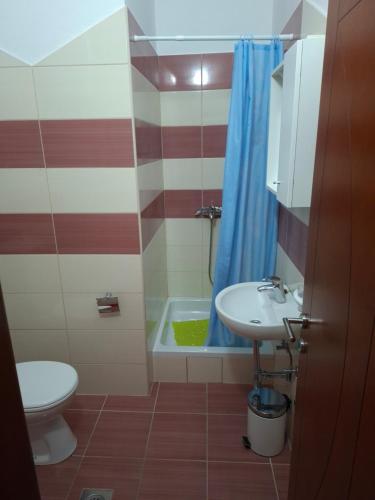 a bathroom with a toilet and a sink and a shower at Apartments Mara Mandre in Mandre