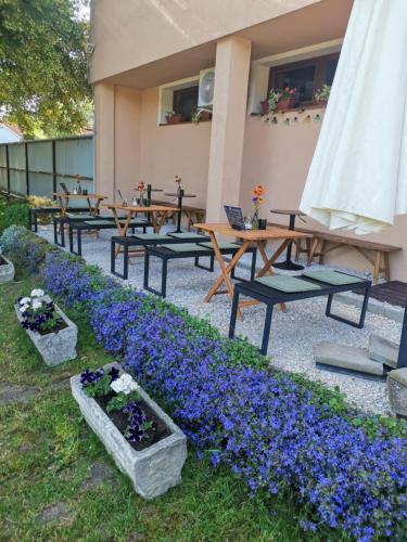Jardí fora de K-plus penzión