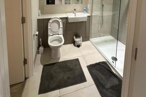 a bathroom with a toilet and a sink and a shower at London - Apartment - Sleeps 2 - Garden - Pool in Hendon