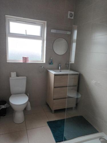 a bathroom with a toilet and a sink and a window at Hook Lighthouse Cottage in Ramsgrange