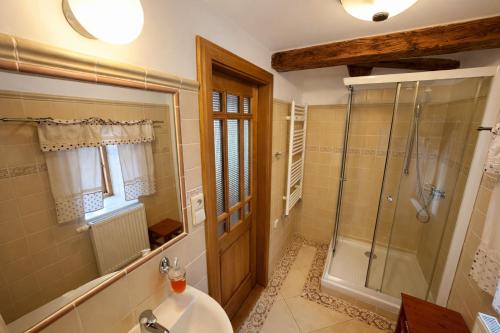 a bathroom with a shower and a sink and a glass door at U Bílého koníka in Kostelní Bříza