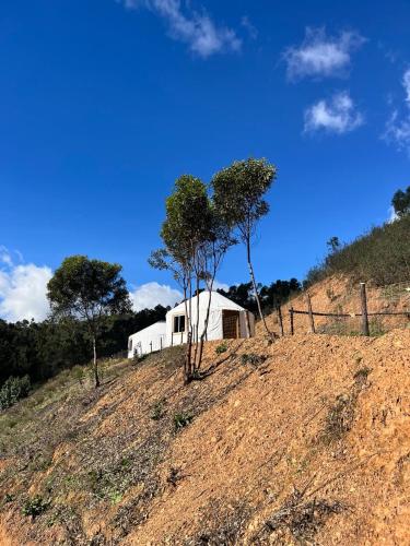 Exclusive Two-Yurt Nature Retreat in Algarvian Countryside