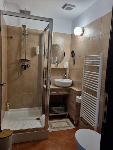 a bathroom with a shower and a sink at Refugiul Domnitei in Bran