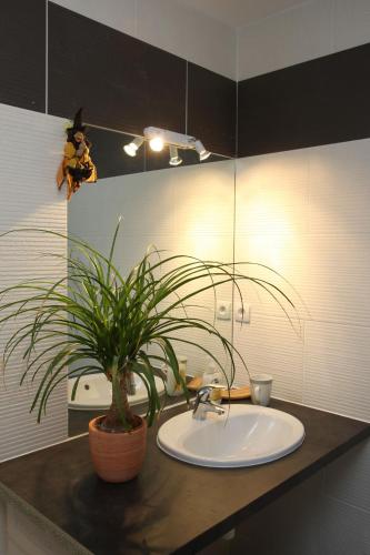 La salle de bains est pourvue d'un lavabo et d'une plante en pot sur un comptoir. dans l'établissement Les Coquelicots, à Marieulles