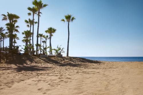 Don Carlos Marbella photo 94