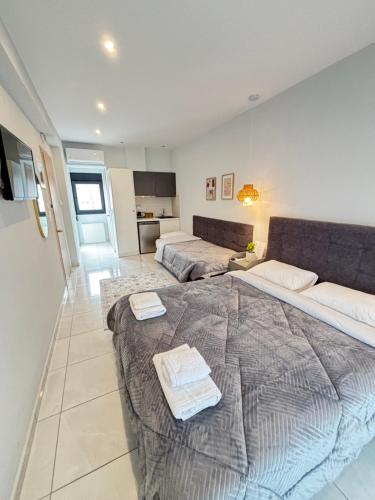 Minas Luxury Studios