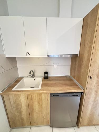 Kuhinja ili čajna kuhinja u objektu Minas Luxury Studios