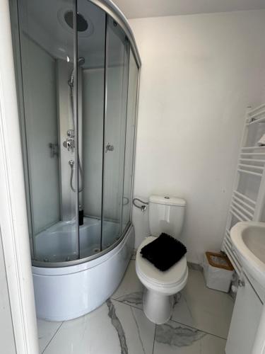 a bathroom with a shower and a toilet and a sink at ANA City Rooms in Cluj-Napoca