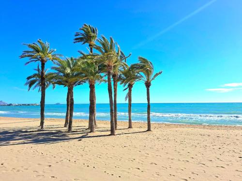 Torrevieja CityCenter LocosBeach 50m Exclusive Apartment