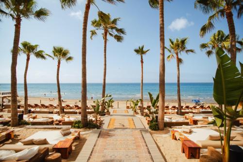 Don Carlos Marbella photo 73