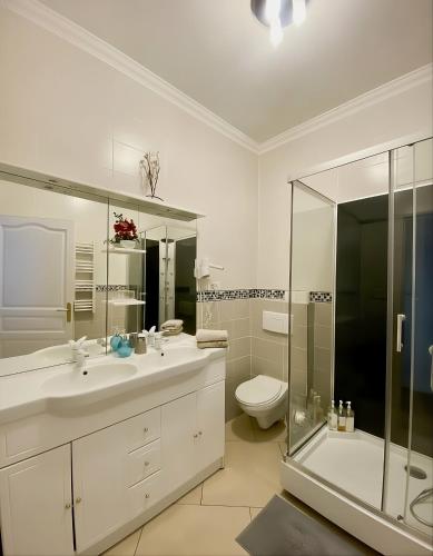 a bathroom with a sink and a shower and a toilet at La Rose du Château in Lourdes
