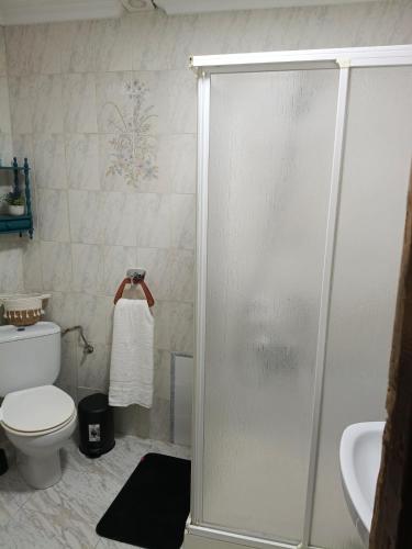 a bathroom with a shower with a toilet and a sink at Casa Lara - Sierra de Cazorla in Quesada