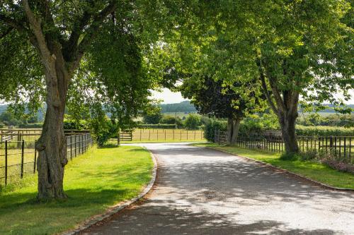 a tree lined road with a fence and trees at Knapp Cottage in Charlbury