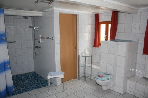 a bathroom with a shower and a toilet and a shower at Hotel Bärenhof in Philippsreut