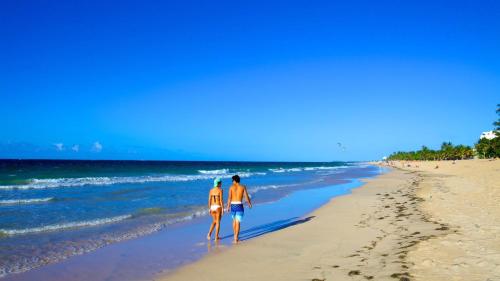Beachside One bedroom Apt steps from prime beach generator parking included