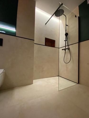 a glass shower in a bathroom with a toilet at ZIELONE DRZWI Hajnówka in Hajnówka