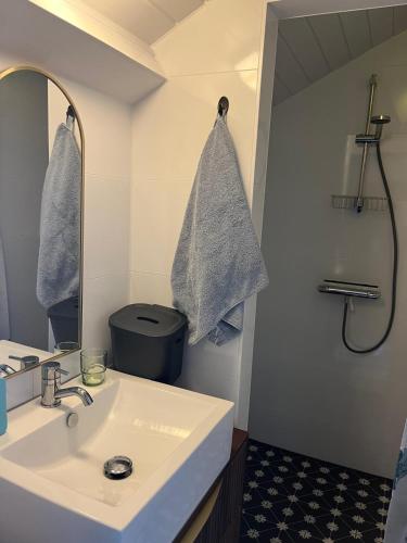 a bathroom with a sink and a mirror at sunshine in Schoorl