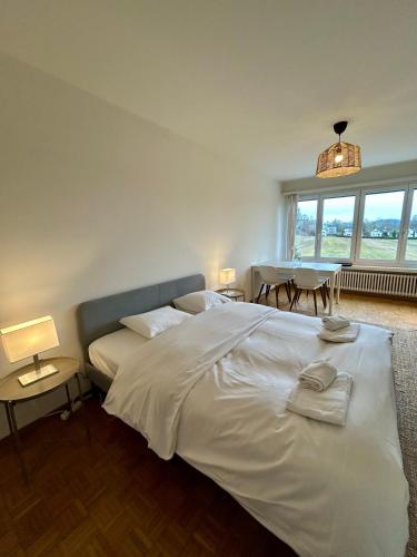 Cozy Studio in Witikon District