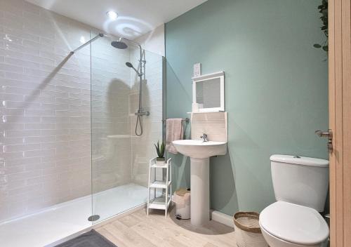 a bathroom with a shower and a toilet and a sink at Seaview Cottage in Llanddulas