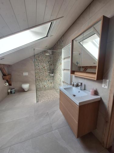 a bathroom with a sink and a shower at Chambres d'hôtes Les Fontaines in Tramelan