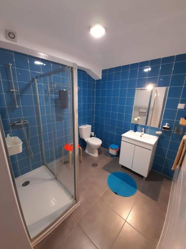 a blue tiled bathroom with a shower and a toilet at Casa Pirosa2 in Aveiro