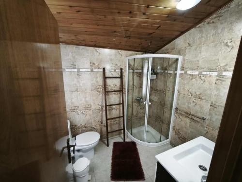 a bathroom with a shower and a toilet and a sink at Arco-Iris in Santo António