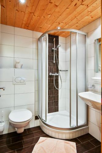 a bathroom with a shower and a toilet and a sink at Alpenhaus Montafon by Pferd auf Wolke in Gargellen