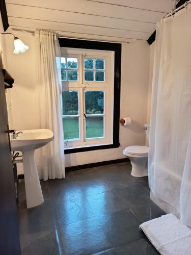 a bathroom with a toilet and a sink and a window at Hostal Los Riscos in Llanquihue